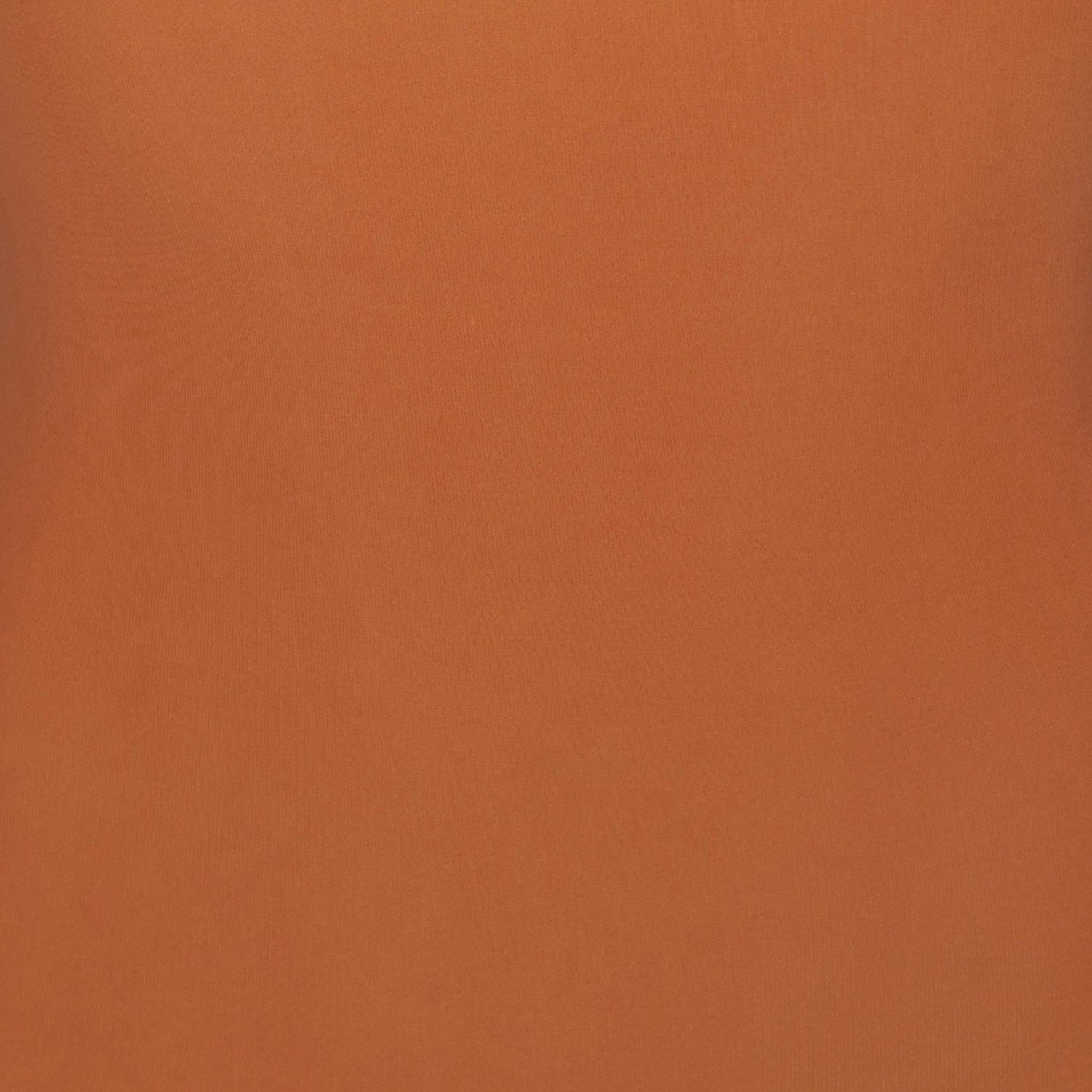 EVERYDAY SCULPT HIGH-WAISTED THONG | BRONZE 7 EVERYDAY SCULPT HIGH-WAISTED THONG | BRONZE - Image 5