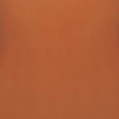 EVERYDAY SCULPT HIGH-WAISTED MID THIGH SHORT | BRONZE 11 EVERYDAY SCULPT HIGH-WAISTED MID THIGH SHORT | BRONZE -Underwear Specialty Shop SKIMS EVERYDAYSCULPT BRZ SW d56a5bca af08 42be b738 77870a4bedb1