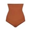 EVERYDAY SCULPT HIGH-WAISTED BRIEF | BRONZE