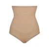 EVERYDAY SCULPT HIGH-WAISTED BRIEF | CLAY -Underwear Specialty Shop SKIMS EVERYDAYSCULPT SH HWB 2151 CLY1