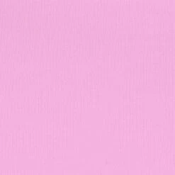 FITS EVERYBODY CORDED LACE DIPPED THONG | PETAL -Underwear Specialty Shop SKIMS FITSEVERYBODYLACE PTL SW a581197c 9fec 4152 9272 5e549c22d4ab