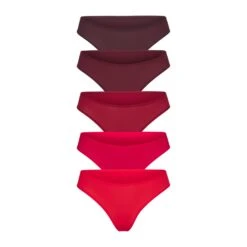 FITS EVERYBODY CHEEKY BRIEF PACK | BRICK MULTI