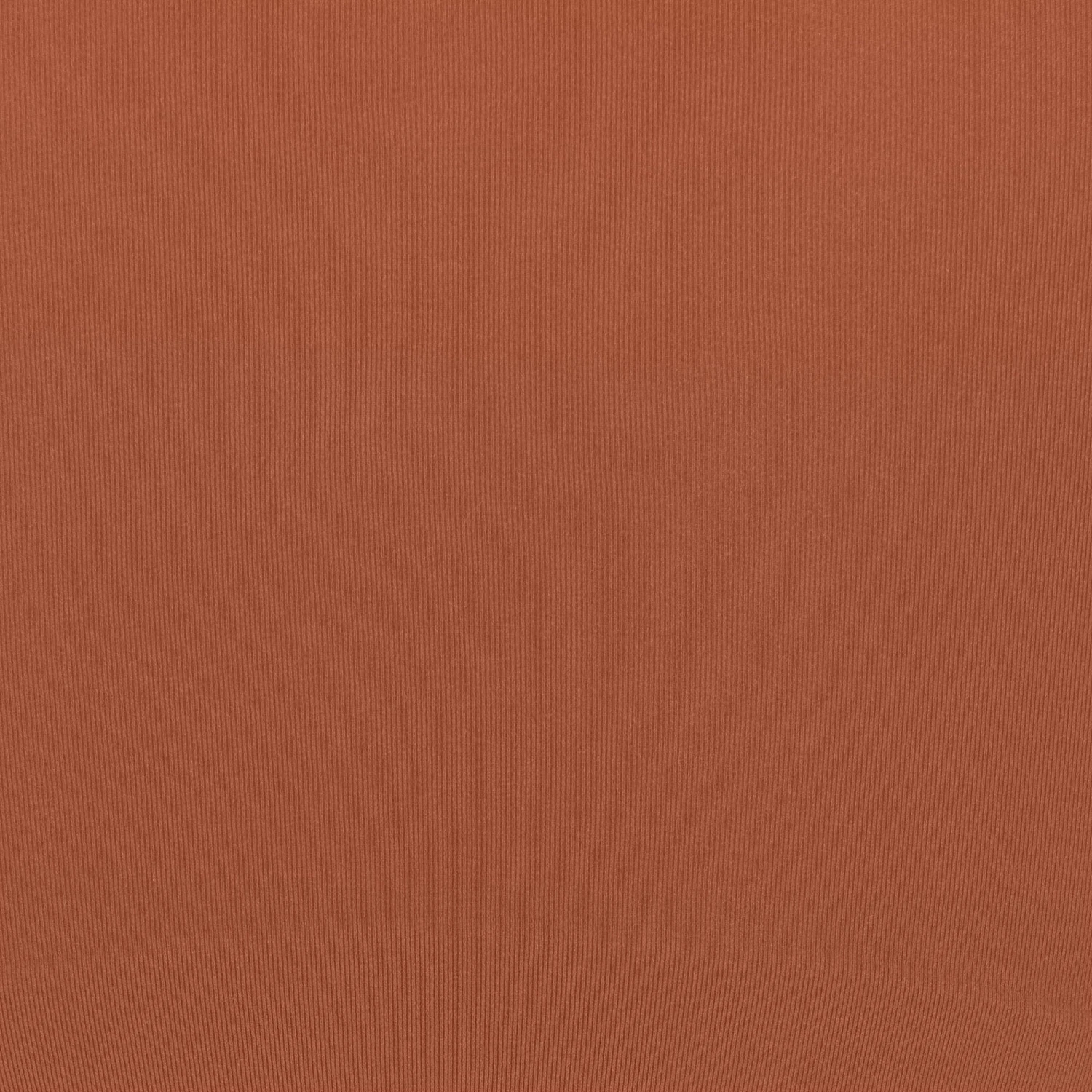 SEAMLESS SCULPT HIGH-WAISTED THONG | BRONZE 7 SEAMLESS SCULPT HIGH-WAISTED THONG | BRONZE - Image 5