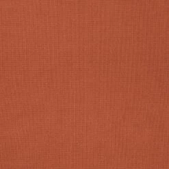 SMOOTHING HIGH-WAISTED THONG | BRONZE -Underwear Specialty Shop SKIMS SMOOTHINGINTIMATES BRZ SW 27741a79 cf50 4a7a ae33 cb5d945172a5