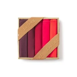 FITS EVERYBODY CHEEKY BRIEF PACK | BRICK MULTI -Underwear Specialty Shop SKIMS ST CBR 2510 BRM 1