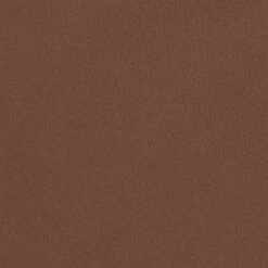 SHINE FOUNDATIONS CHEEKY BRIEF | JASPER -Underwear Specialty Shop SKIMS WIRELESSFORM JSP SW 61307caa 97c6 427a 917e 5478edbd7a23